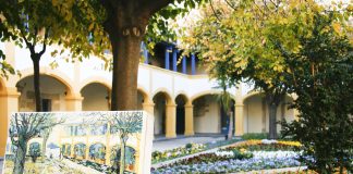 What to see and do in Arles France, from Roman ruins to Van Gogh