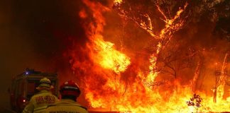 Climate crisis investors putting money towards sustainable future