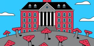 529 College Plans Are Hit by Stock Market Turmoil