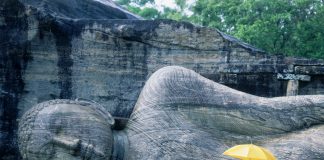 Where can I travel in Asia without quarantining? Sri Lanka is now open