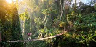 Travelers care but few want to pay for it