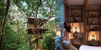 Where to rent treehouses in U.S., Japan, Australia and Costa Rica