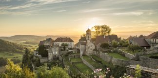 Insider tips on visiting French wineries beyond Bordeaux and Burgundy